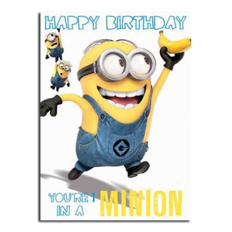 Minion 1 In A Minion Birthday Card | Minion Shop, the entire Minions ...